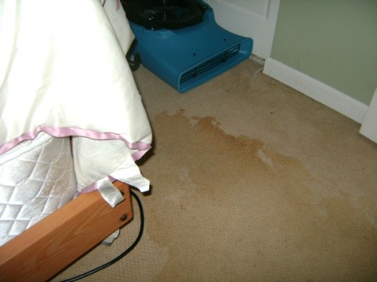 Water Damage Restoration Cape Coral